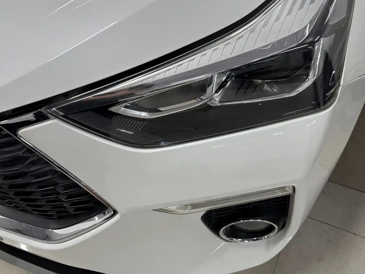 Haval H6 Coupe 2018 Red Label 1.5T Auto 2WD Ultra Luxury фото 5