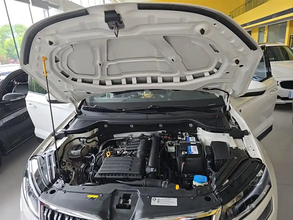 Škoda Karoq 2018 TSI280 Premium Edition China V фото 20
