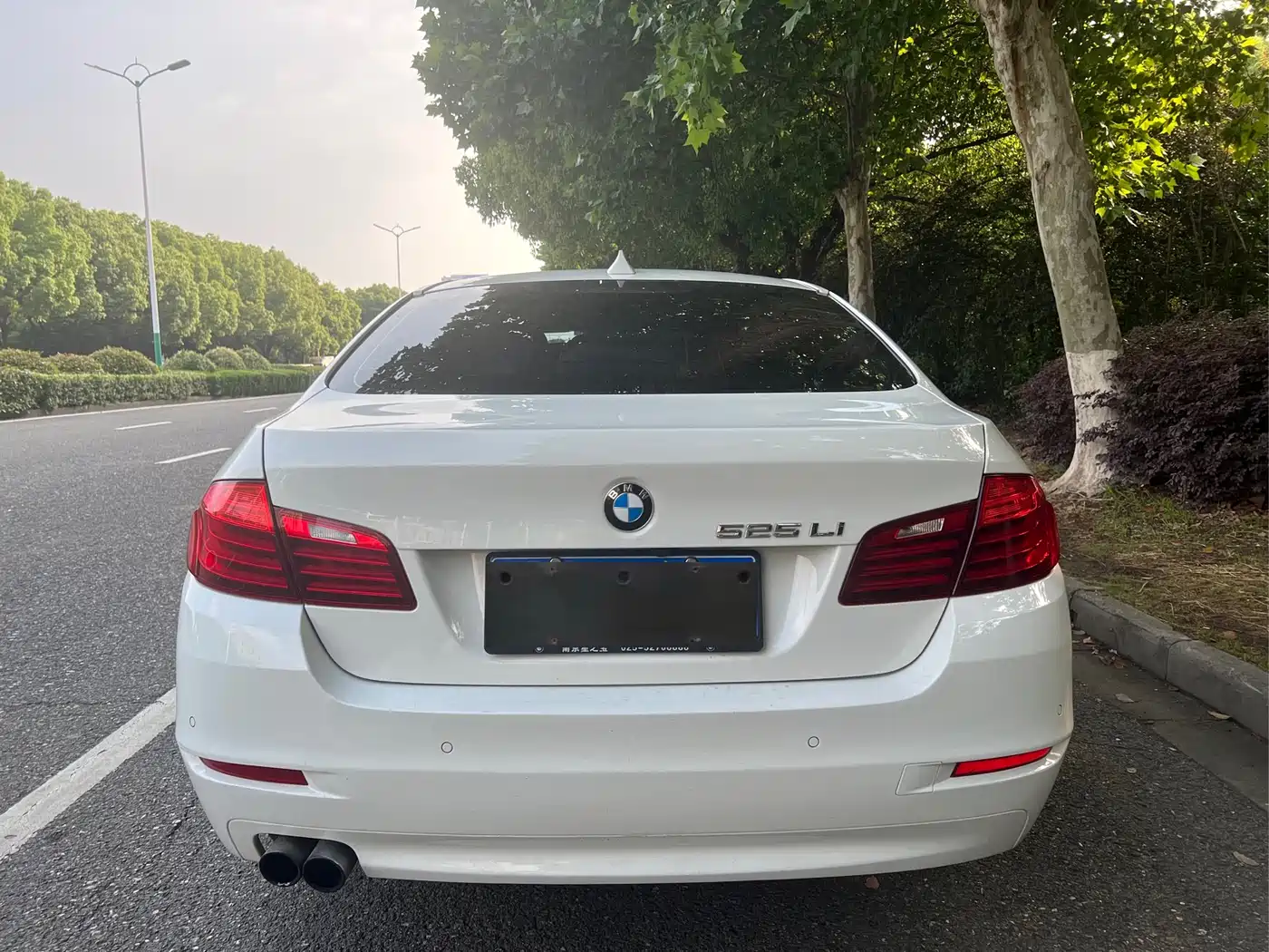 BMW 5 Series 2014 525Li Leading фото 5