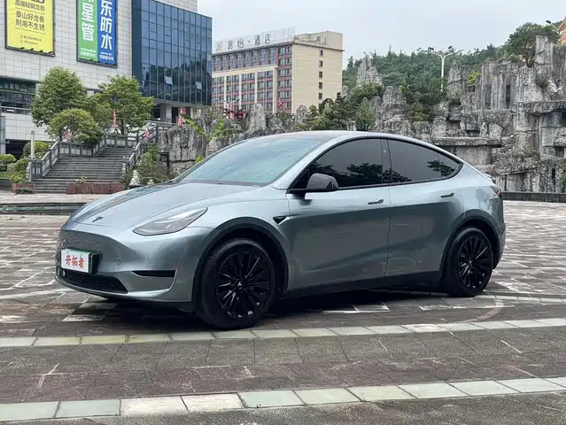 Tesla Model Y 2024 Rear-Wheel Drive Version