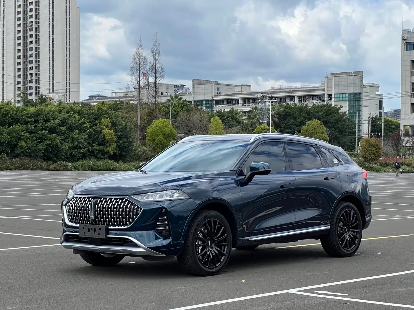 WEI PAI WEI BRAND MOCHA