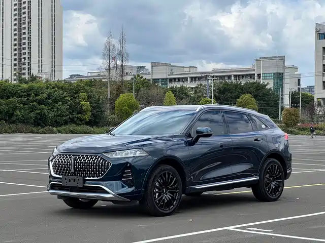 WEI PAI WEI BRAND MOCHA