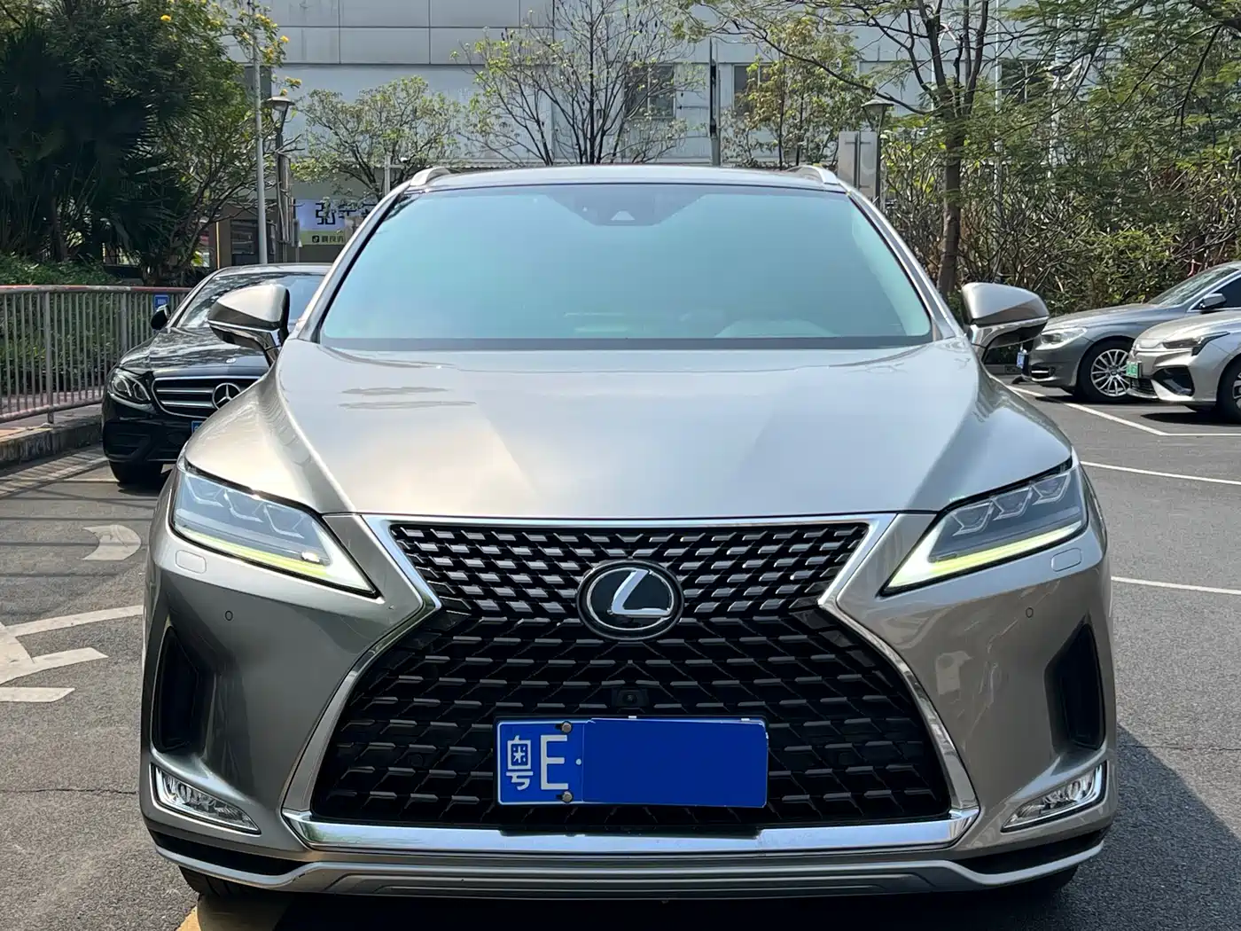 LEXUS RX