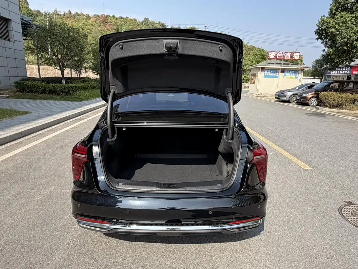 Hongqi H5 2024 2.0T Automatic Smart Connect Flag Smooth Edition фото 16