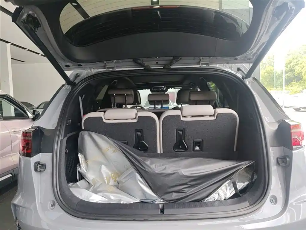 BYD Tang New Energy 2025 Smart Driving Edition DM-i 115KM Flagship фото 19