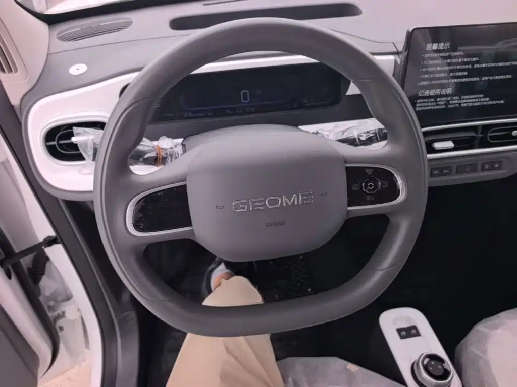 Geely Galaxy Panda 2026 2025 Panda mini 210km Vitality Bear