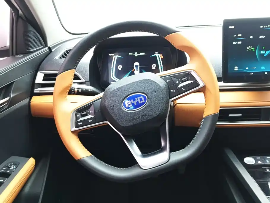 BYD e2 2021 2021 Luxury Edition