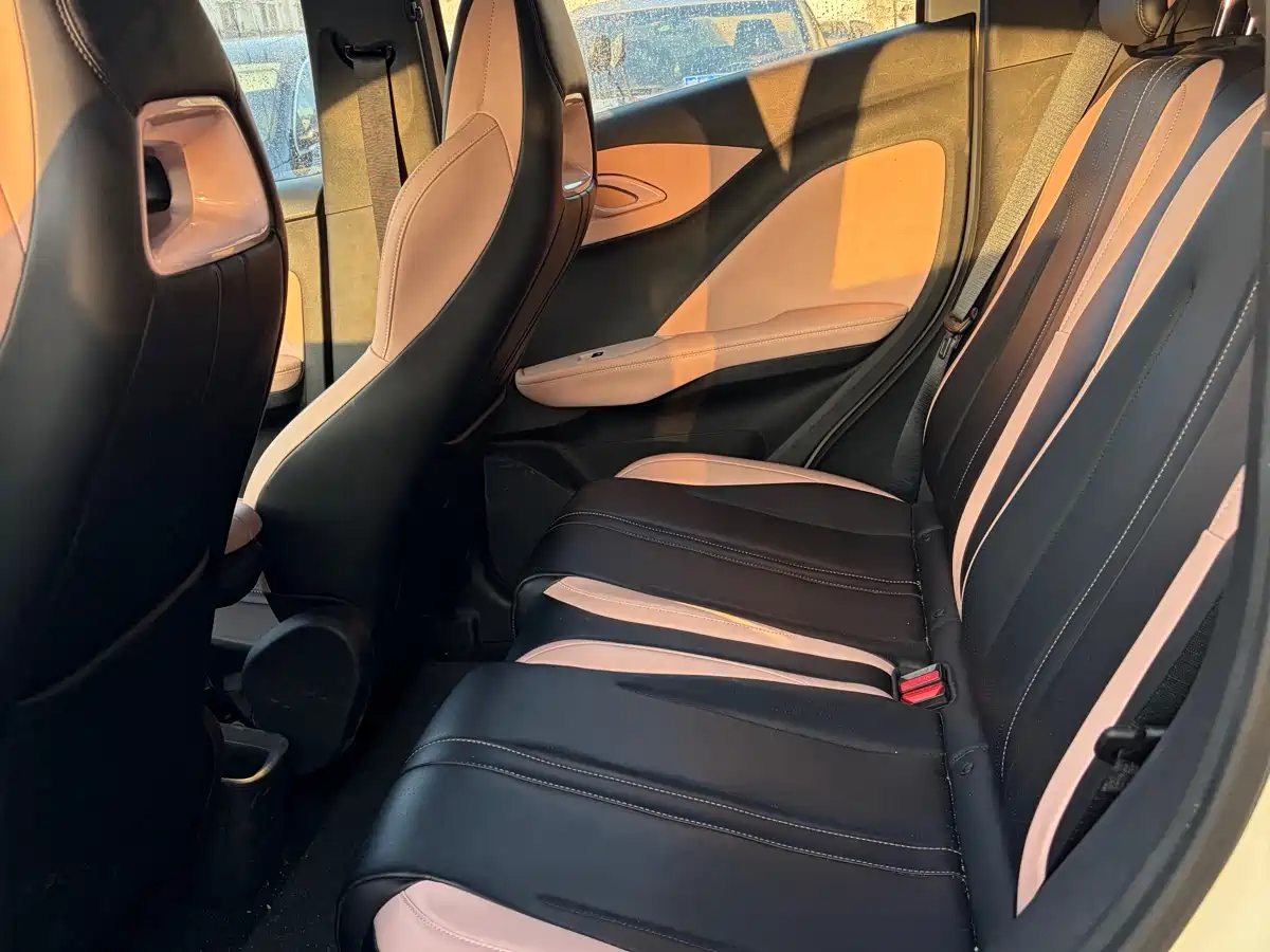 BYD Seagull 2024 Glory Edition 305km Vitality Edition фото 8