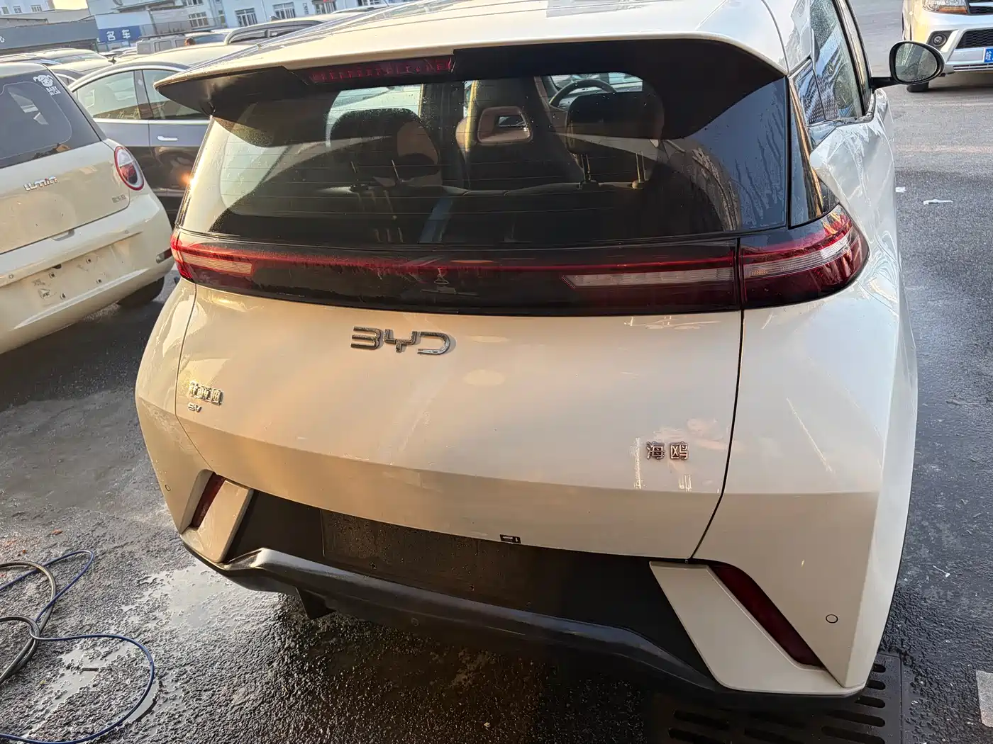 BYD Seagull 2024 Glory Edition 305km Vitality Edition фото 6