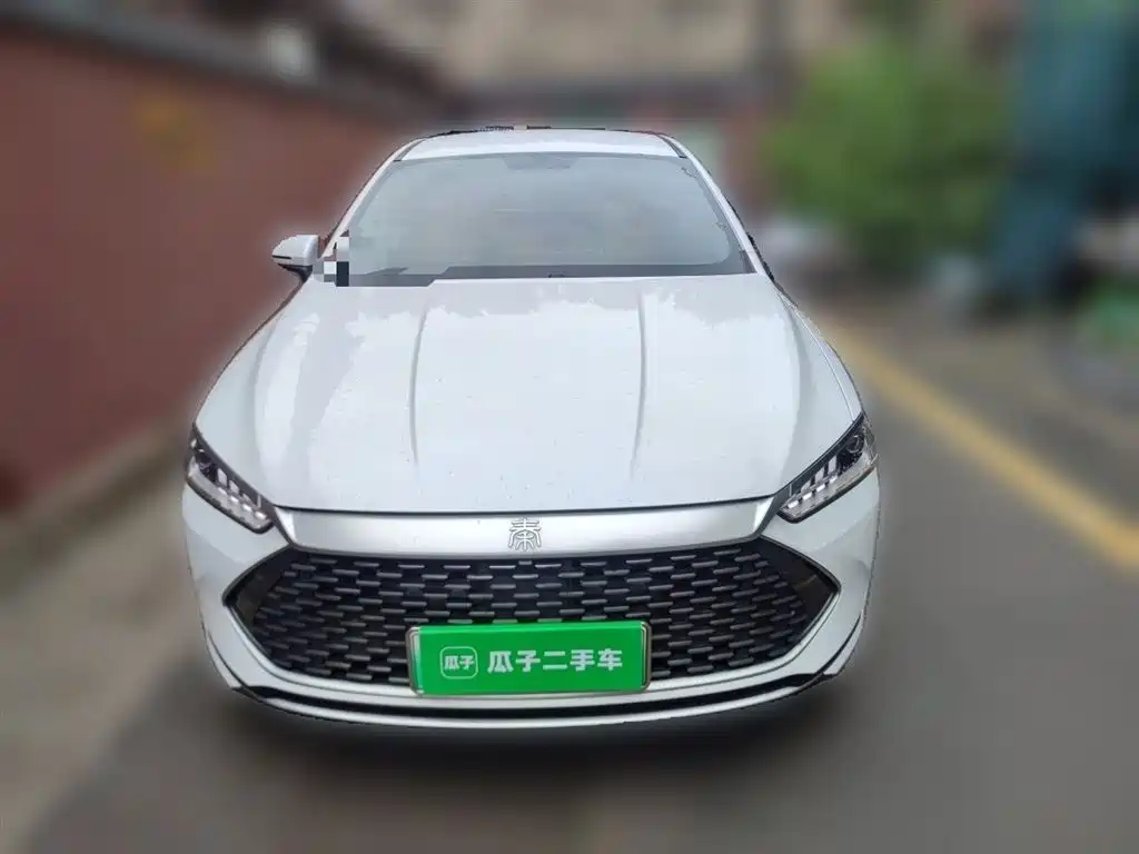 BYD Qin PLUS 2023 Champion Edition DM-i 55KM Leading фото 24