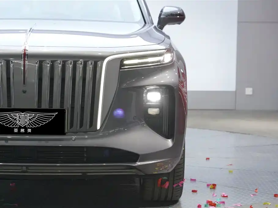 Hongqi E-HS9 2021 460km Flagship Comfort 6-seater фото 3