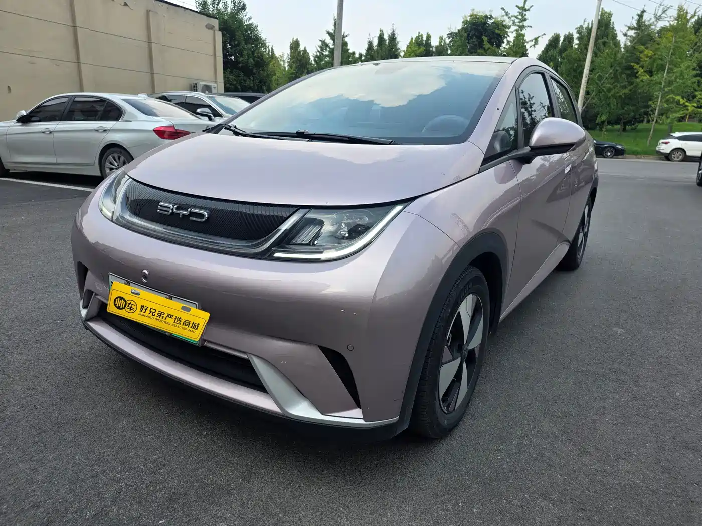 BYD Dolphin 2023