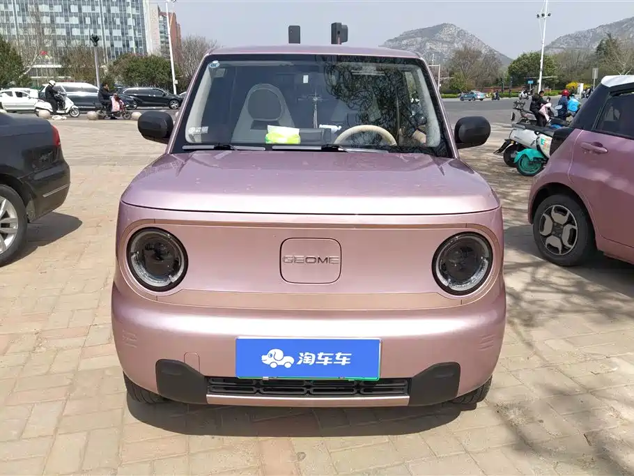 GEELY GALAXY PANDA