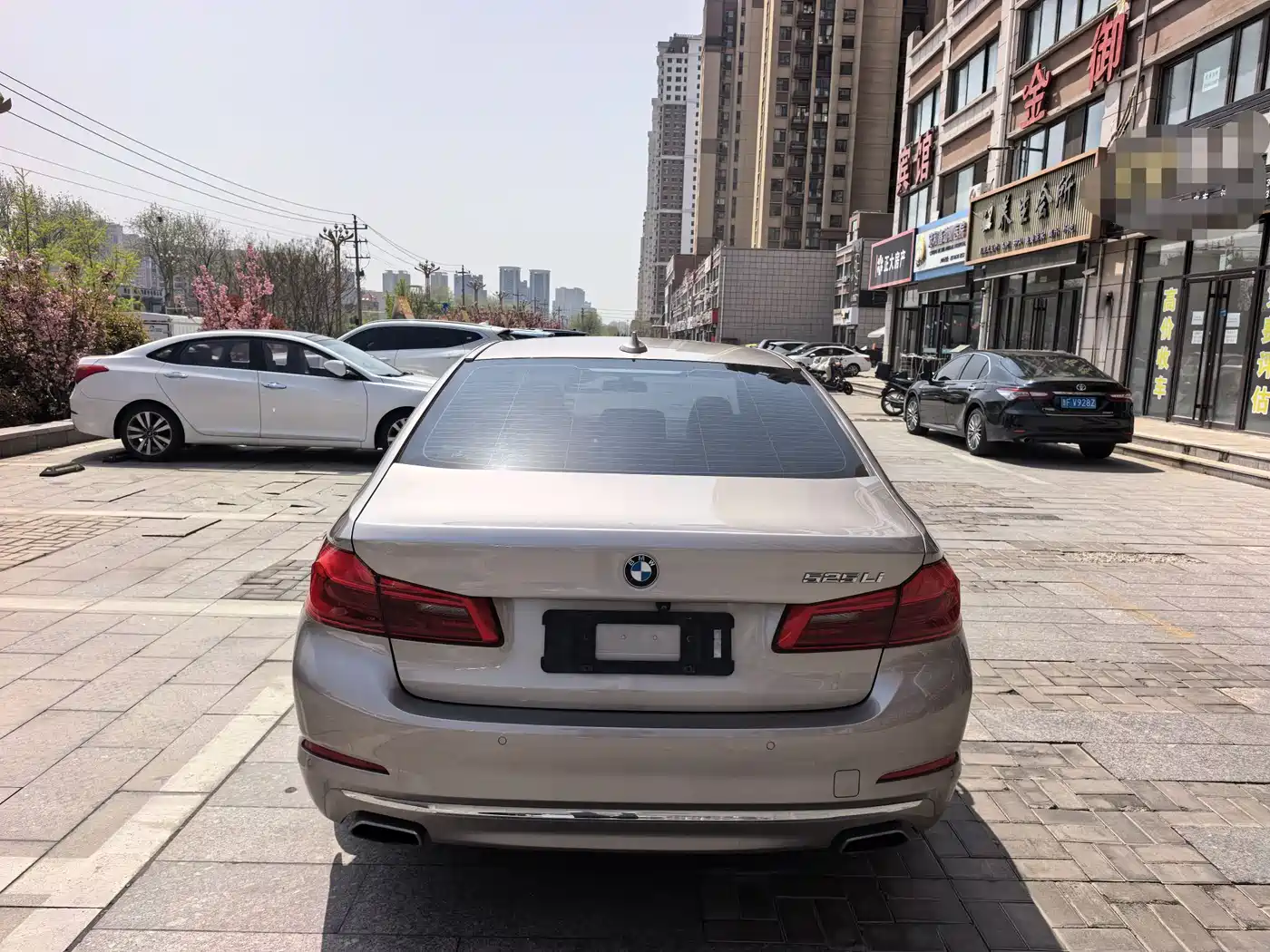 BMW 5 Series 2020 525Li Luxury Package фото 8