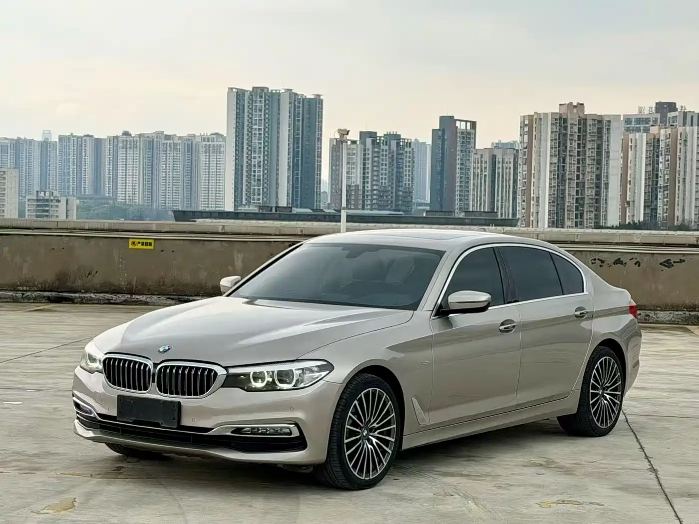 BMW 5 Series 2018 530Li xDrive Luxury Package