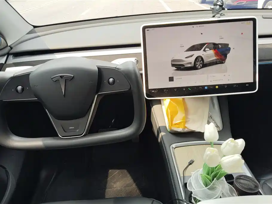 TESLA MODEL Y