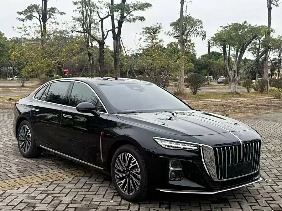 Фото 3 - Hongqi H5