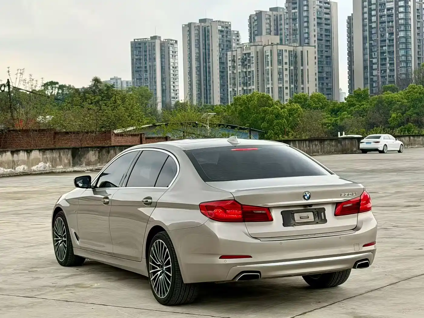 BMW 5 Series 2018 530Li xDrive Luxury Package фото 8