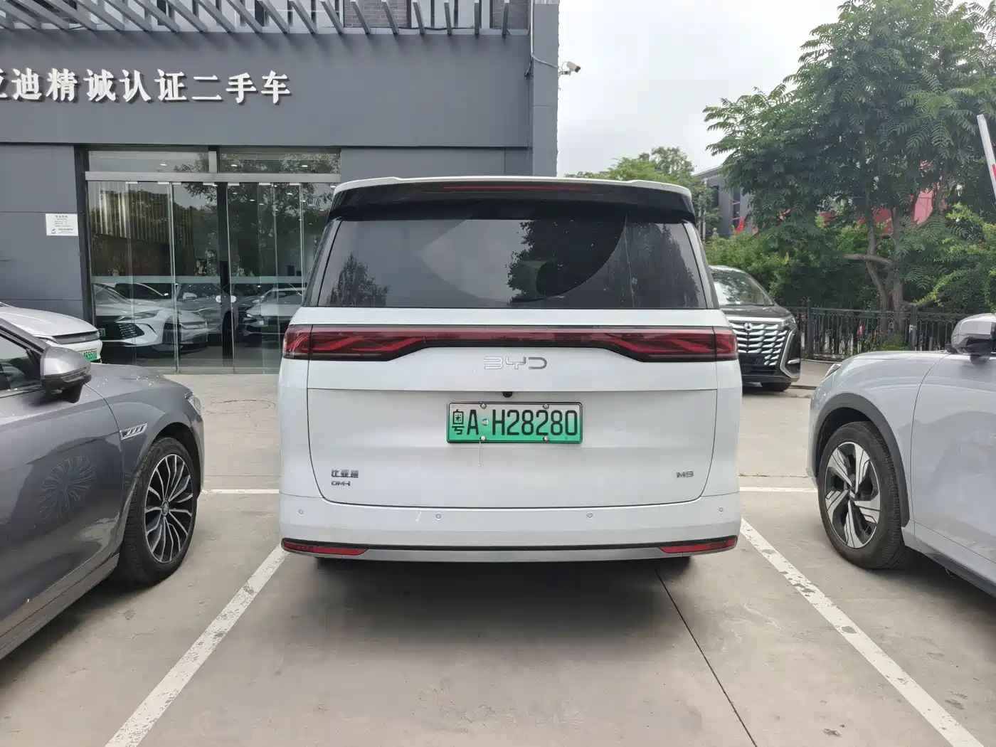 BYD M9 2025 2025 Model 1060 Pilot Edition
