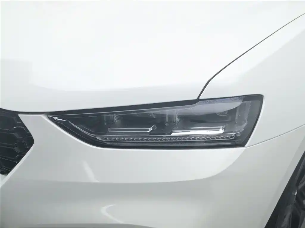 WEI PAI WEI BRAND VV7