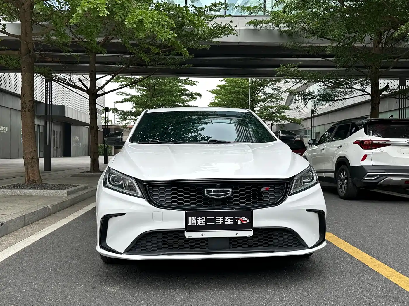 GEELY AUTOMOBILE BINRUI