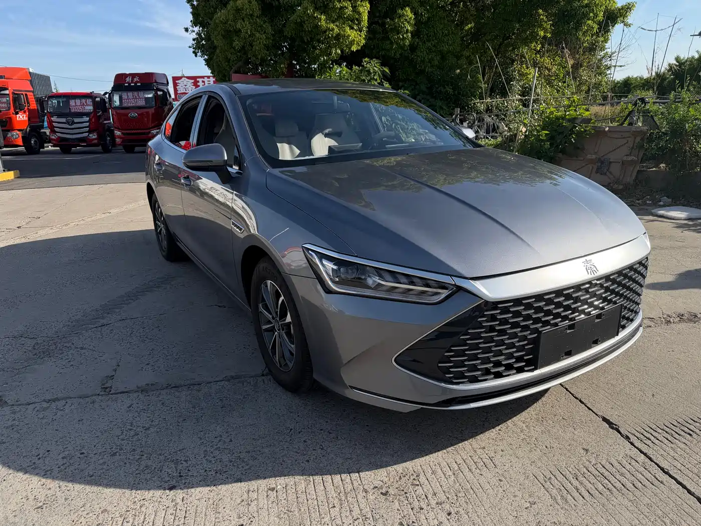 BYD Qin PLUS 2024 Glory Edition DM-i 55KM Leading фото 2
