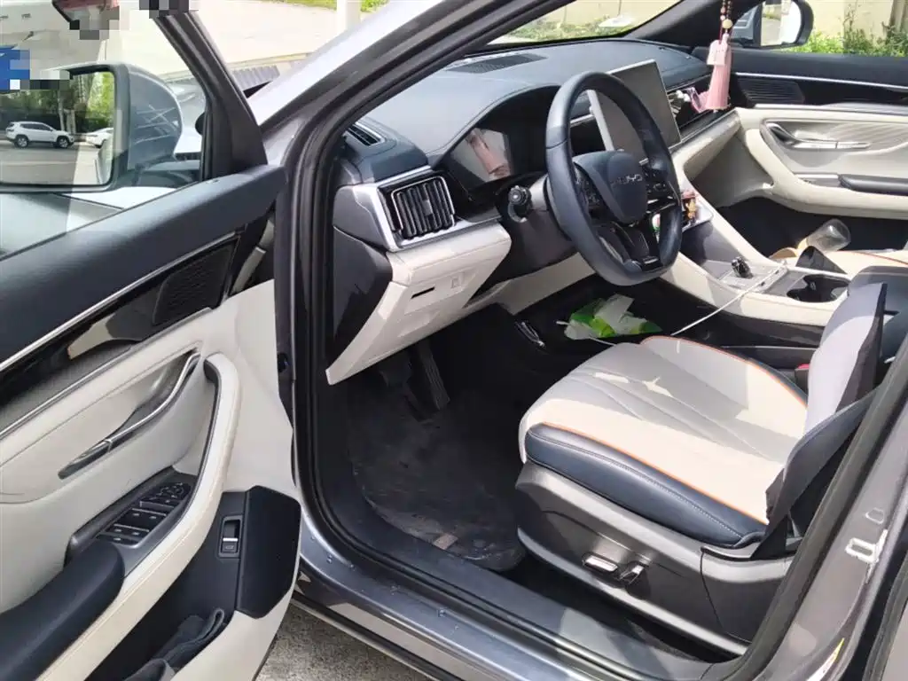 BYD Song PLUS PHEV 2024 Glory Edition DM-i 71km Luxury фото 14