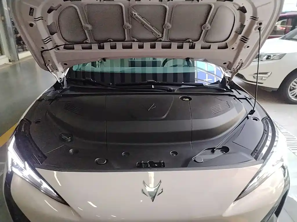ARCFOX Alpha S5 2025 2024 560PRO 185kW