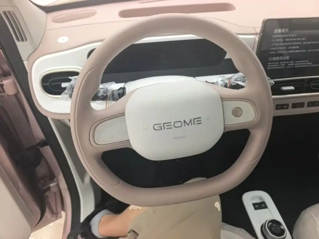 Geely Galaxy Panda 2026 2025 Panda mini 210km Vitality Bear