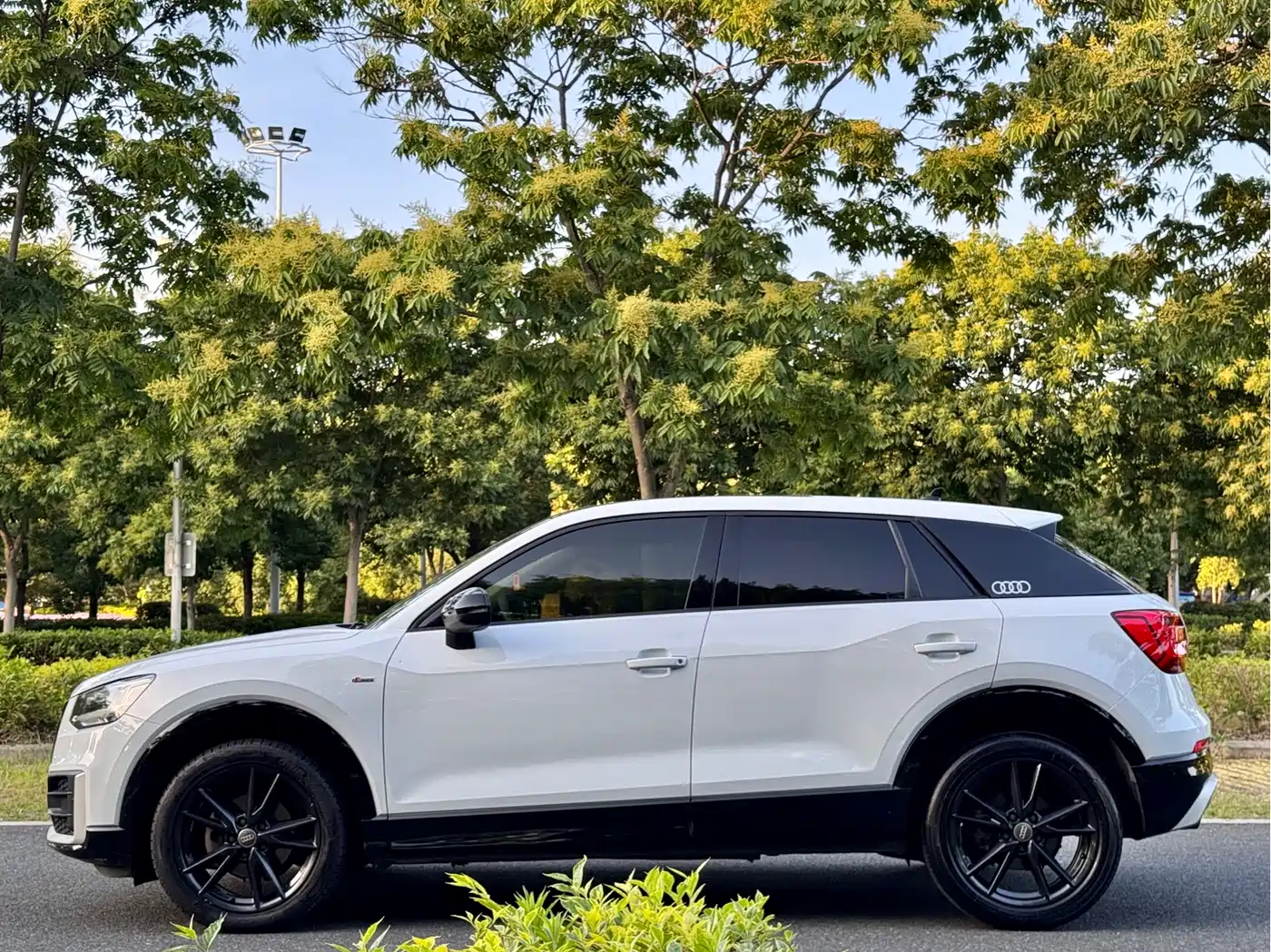 Audi Q2L 2018 35 TFSI Launch Exclusive Edition China VI фото 4