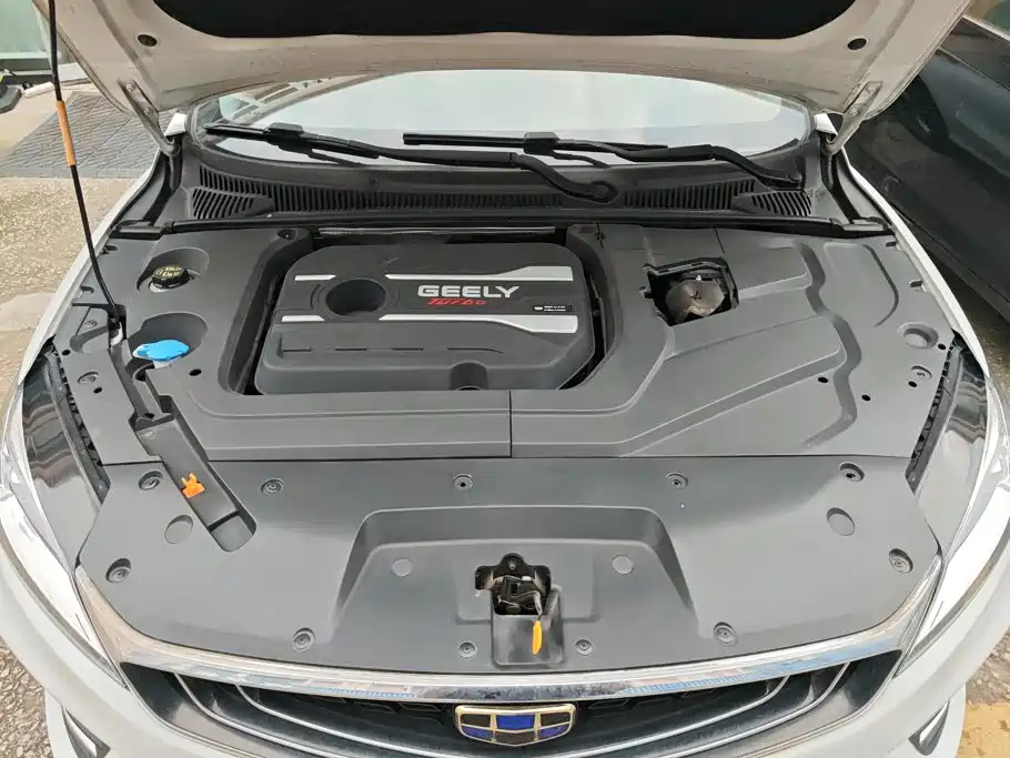 Фото 10 - Geely Binrui