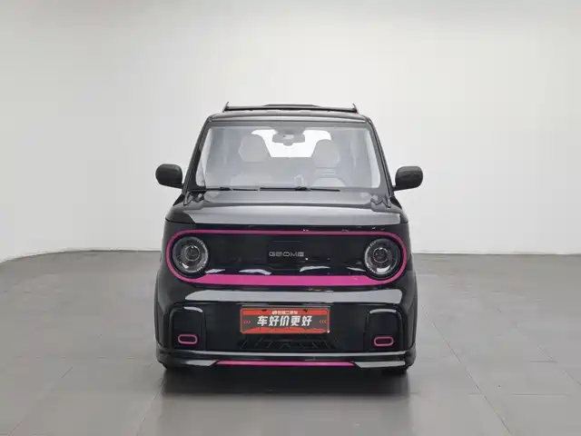 Geely Galaxy Panda 2025 Model Year 210km Panda Kart — фото 3