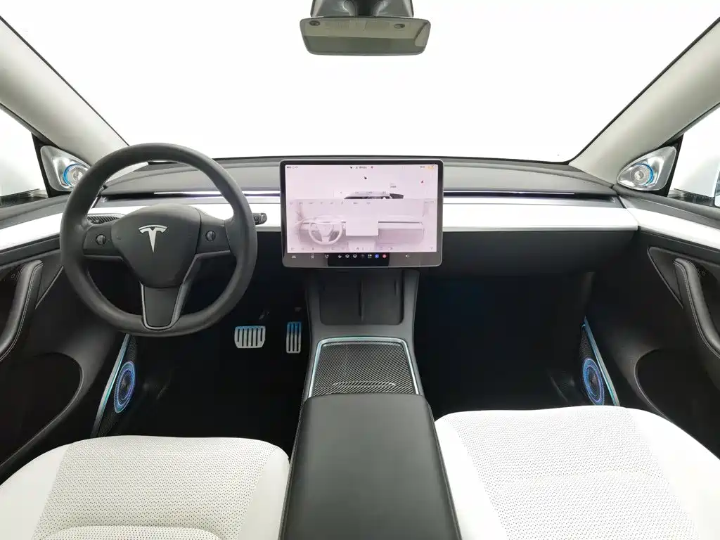 Tesla Model Y 2021 2021 Performance High-Performance AWD