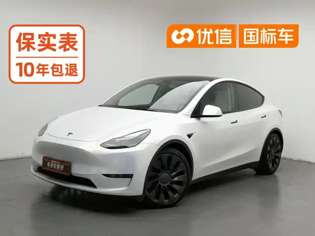 Tesla Model Y 2021 Performance High-Performance AWD — фото 1