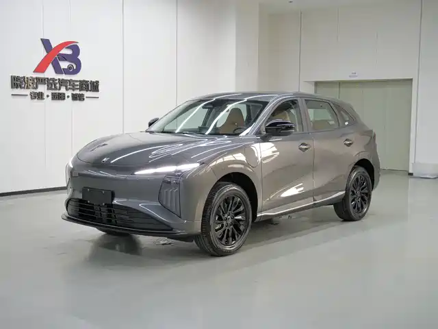  Dongfeng Fengxing Starry Sea T5 2026 Model 530km Premium Edition