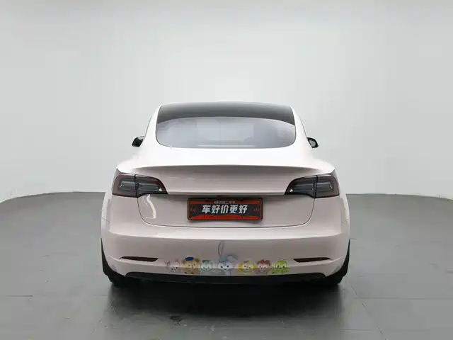 Tesla Model 3 2021 Standard Range Rear-Wheel Drive Upgrade 3D6 — фото 4