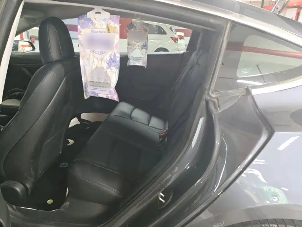 Tesla Model 3 (Import) 2019 2019 Long Range RWD Version