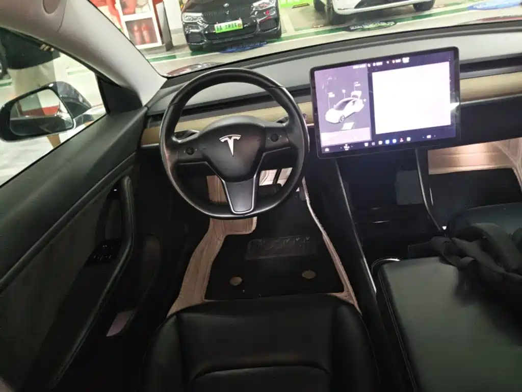 Tesla Model 3 (Import) 2019 2019 Long Range RWD Version