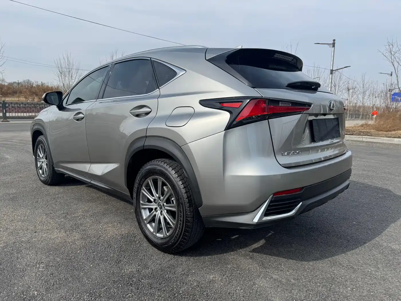 LEXUS NX