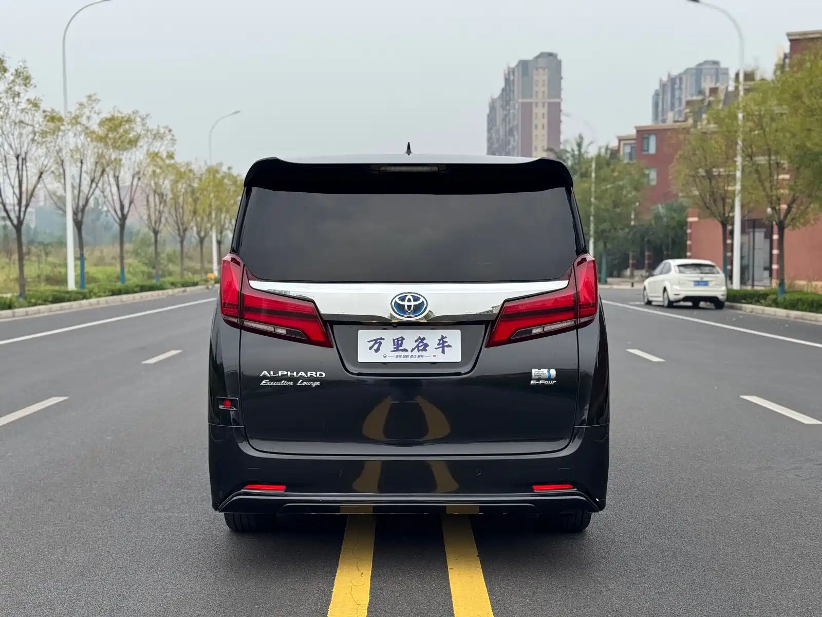 صورة 30 - Toyota Alphard