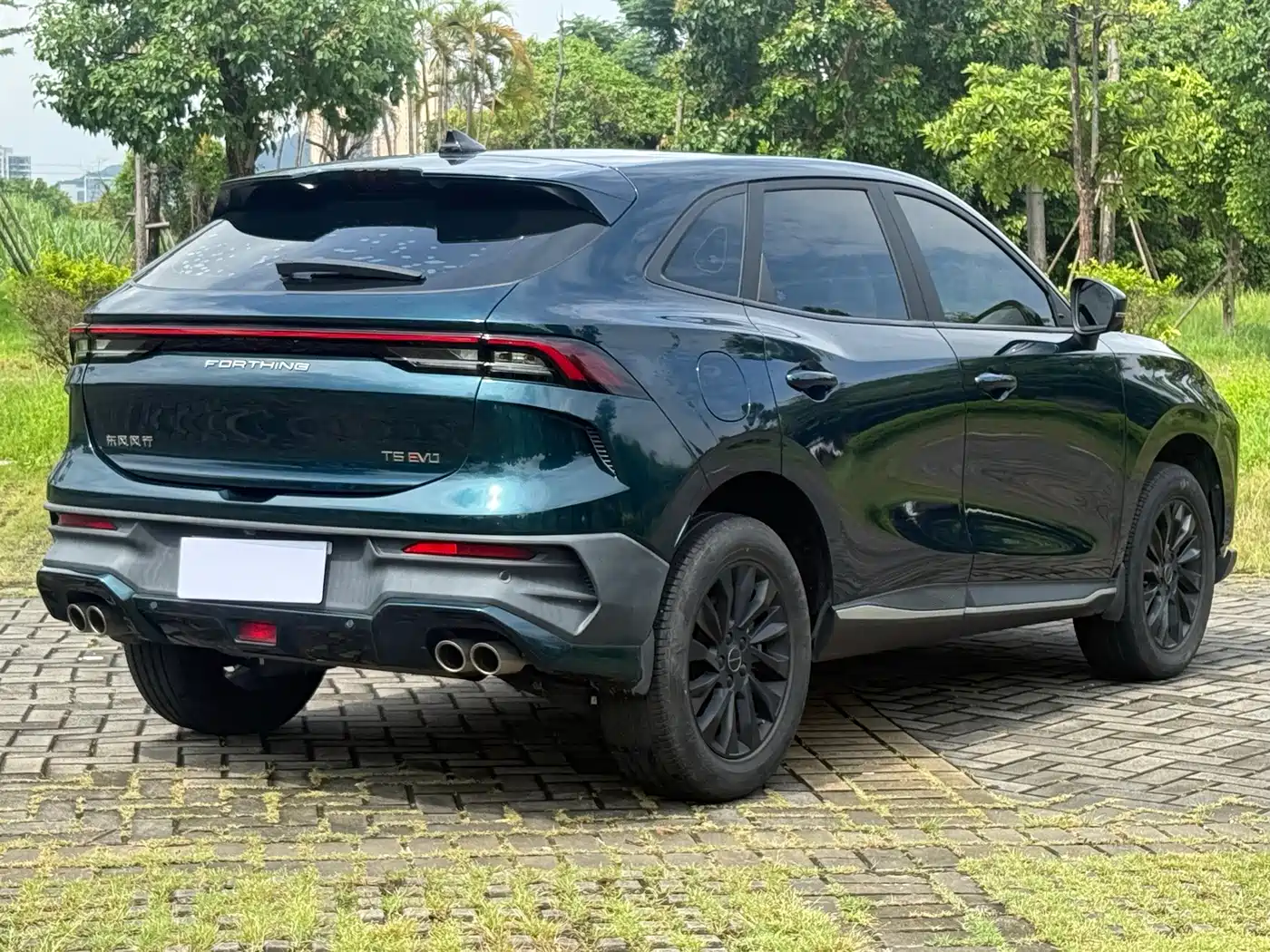 Dongfeng Fengxing Fengxing T5 EVO 2023 2024 1.5TD DCT Starry Sky Edition