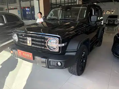 Tank 300