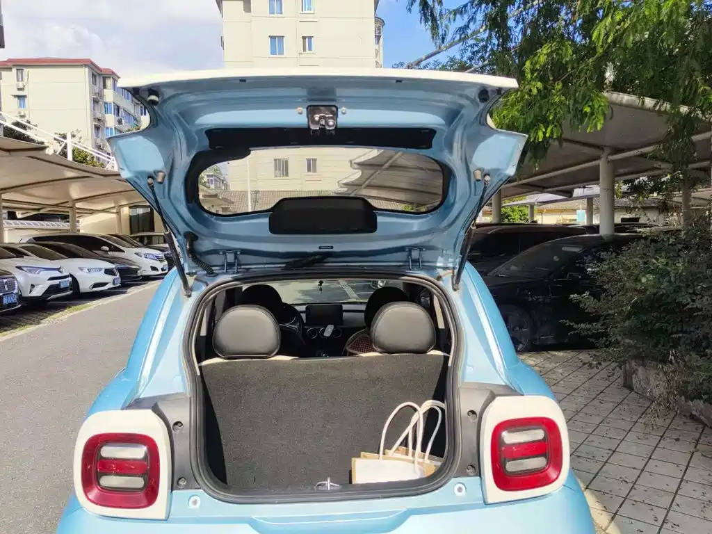 Ora Black Cat 2019 2019 Model 351km Smart Fun Edition