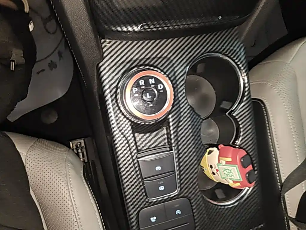 FORD RUIJI