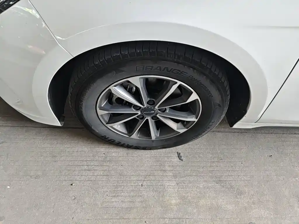 BYD Destroyer 05 2025 2024 Glory Edition DM-i 55KM Luxury