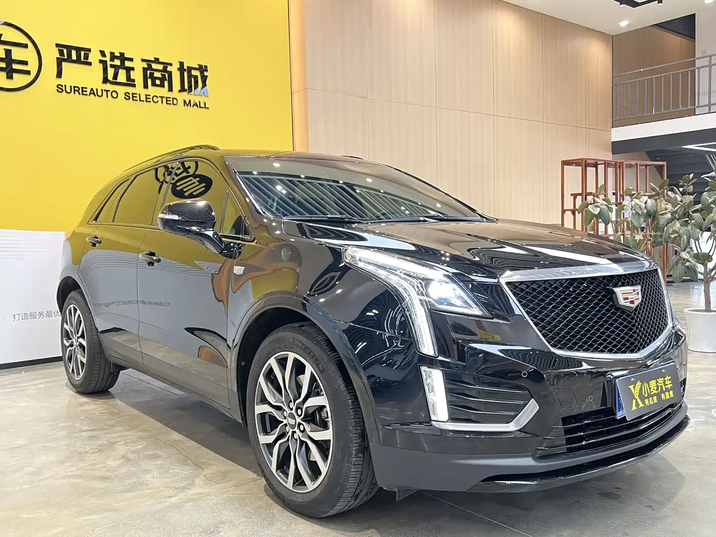 Cadillac XT5 2022 2.0T 4WD Premium фото 3