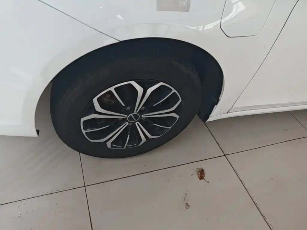 Фото 25 - Roewe i6 MAX EV