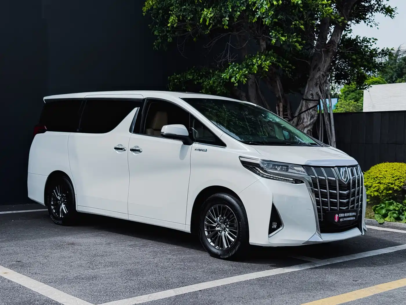Toyota Alphard 2019 Hybrid 2.5L Premium Edition фото 3