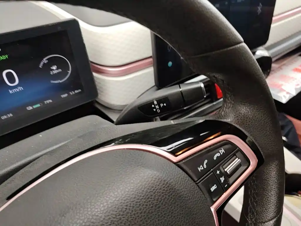 Sehol Flower Fairy 2021 2021 302km Luxury Edition 31.4kWh