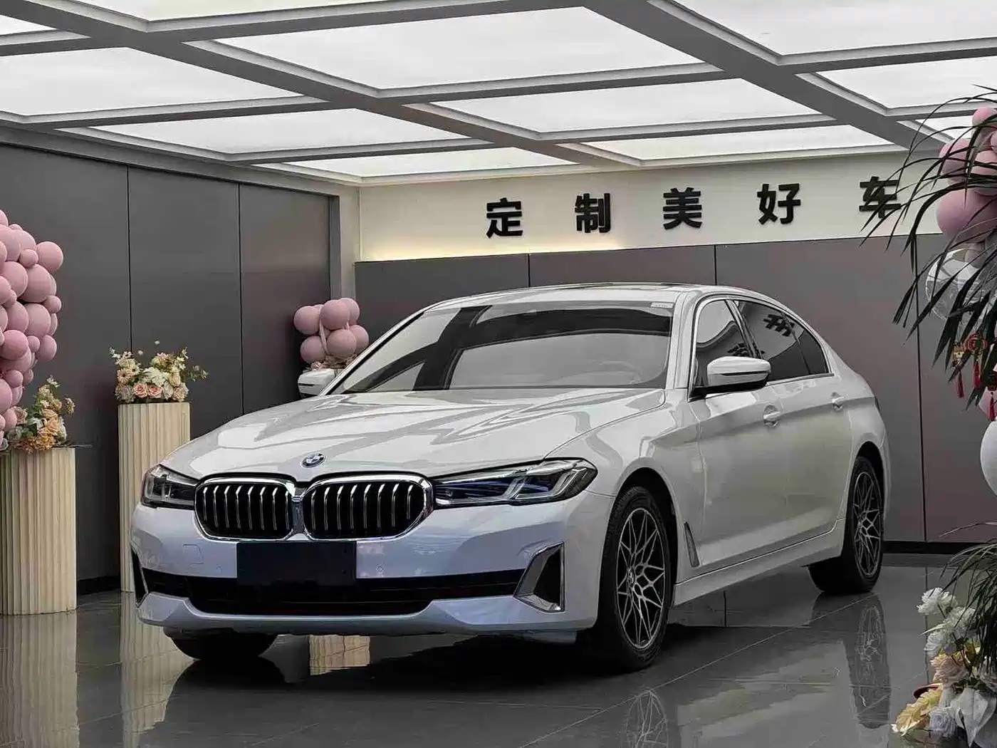 BMW 5 Series 2021 530Li Leading Luxury Package